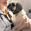 A light-colored dog is wearing a gray noise reduction earmuff while being held by a person in a white medical coat.