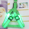 Arnés de perro con luz LED verde brillante mostrado contra un fondo blanco con una mascota desenfocada en segundo plano.