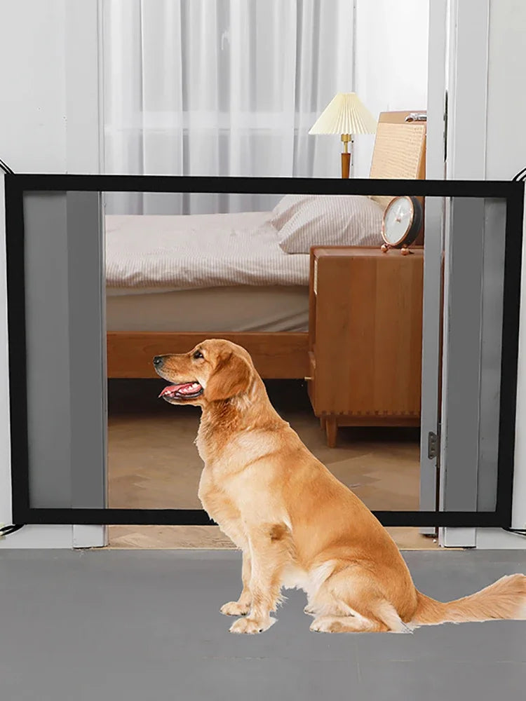 A golden retriever sits in front of a glass door, looking out. The dog is the focus of the image.