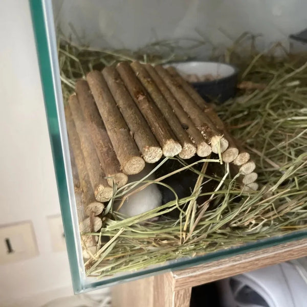 Natural wood branch chew toys for small pets placed in a glass enclosure with dried grass bedding