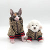 A small tabby cat and a white dog wearing matching patterned outerwear.