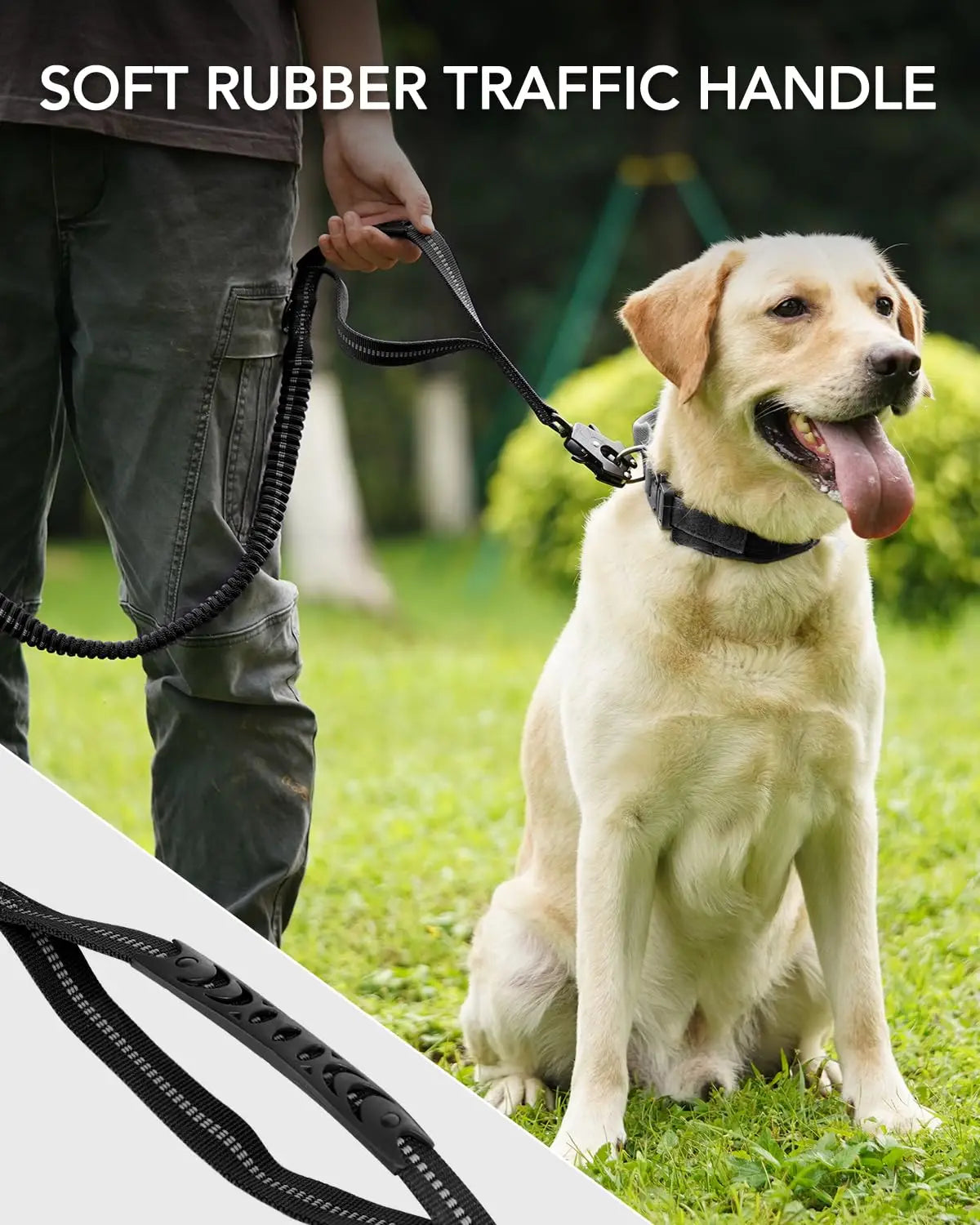 A dog is holding a soft rubber traffic handle leash for walking in a grassy outdoor setting.