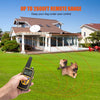 A hand holds a remote dog training collar with an LCD display, demonstrating its up to 2600ft remote range over a grassy yard