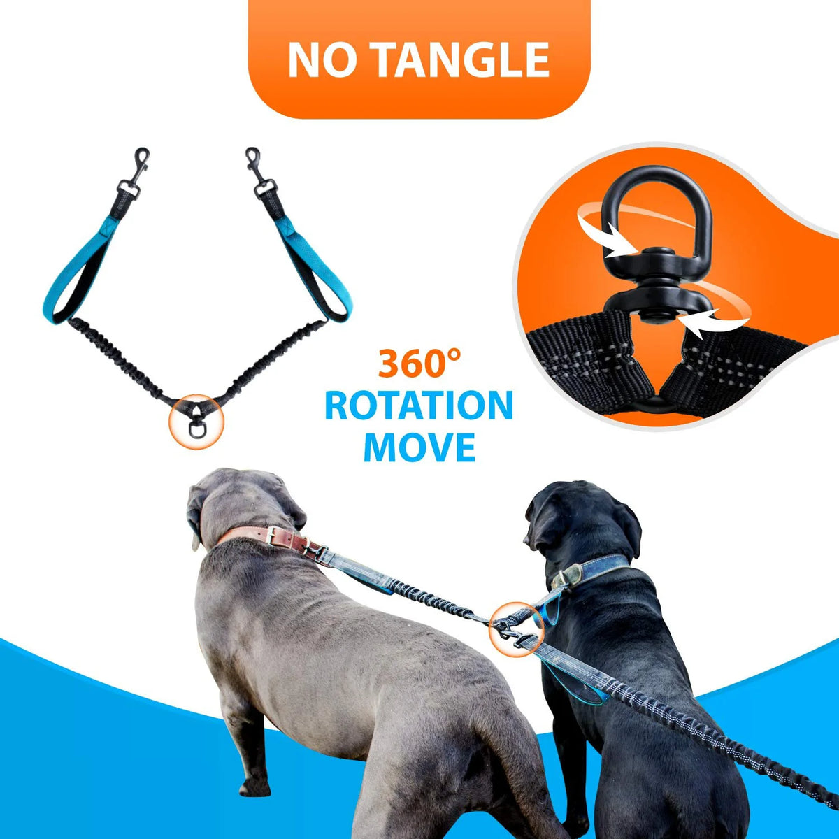 Hands-Free double dog leash for two dogs with padded handles shown in use.