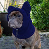 A fawn-colored dog wearing a navy blue fleece hat with large ears outdoors.