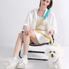 Una mujer está sentada en una silla con una correa y collar ajustable para perro sin manos, posando con un caniche blanco.