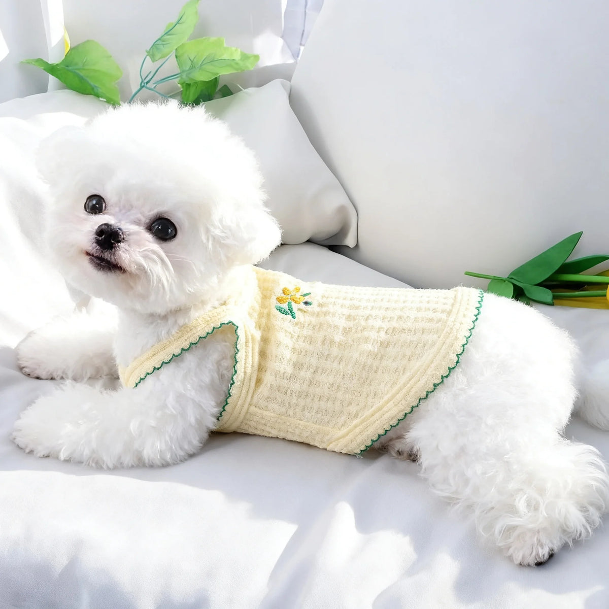 Un perro blanco esponjoso con un collar de mascota de punto amarillo claro, acostado en una cama blanca.
