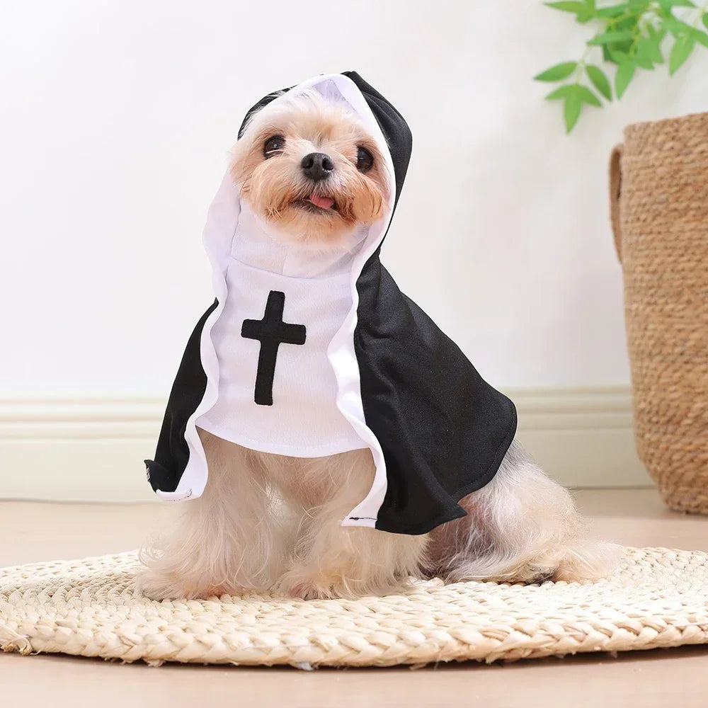 كلب صغير يرتدي زي تنكري مضحك لكاهنة وحش Halloween مع غطاء رأس أسود وأبيض