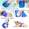 A dog wearing a blue breathable cooling vest with quick-dry fabric.