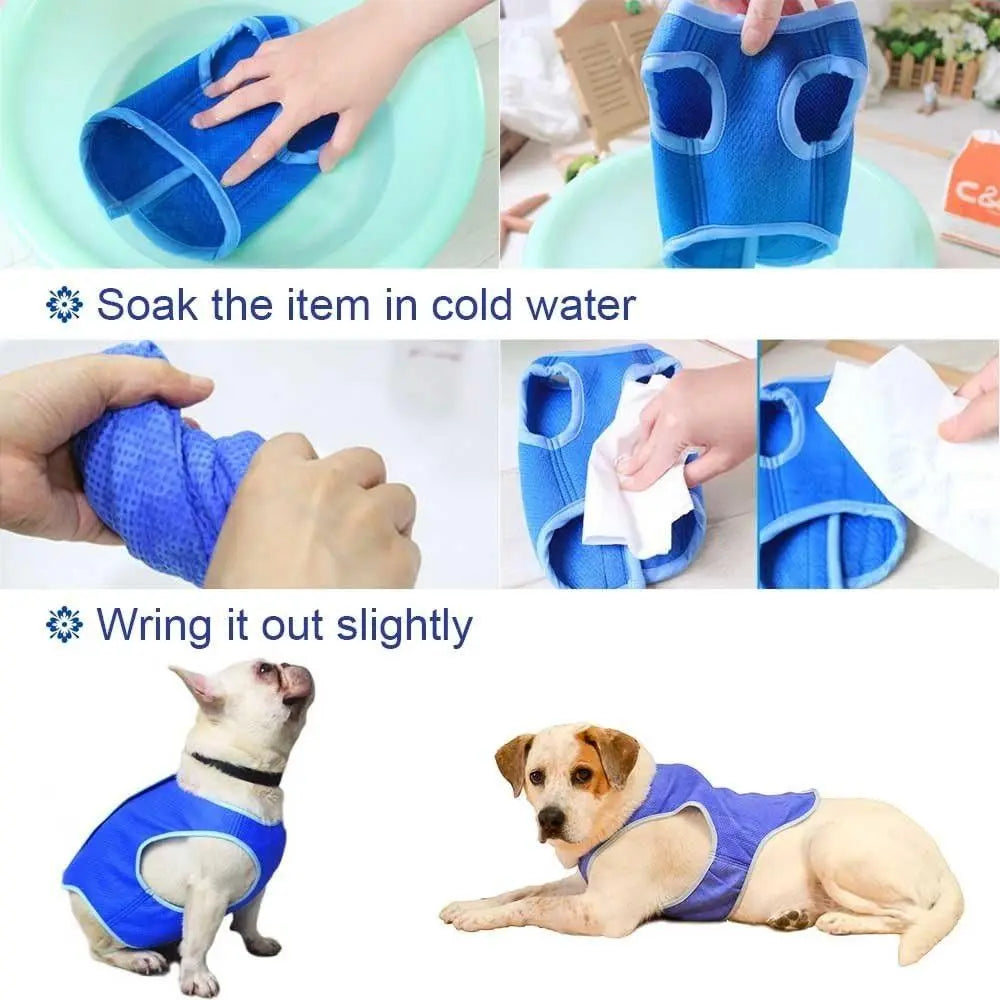 A dog wearing a blue breathable cooling vest with quick-dry fabric.