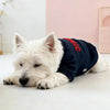 A fluffy white dog is lying down wearing a navy blue hoodie with red lettering.