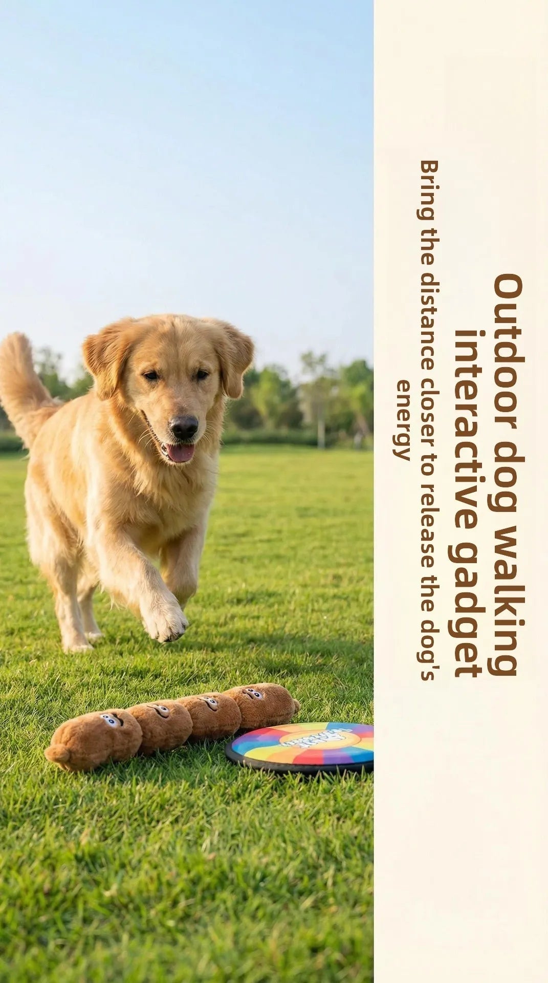 A golden retriever is running across a green field with squeaky dog chew toys lying on the grass.
