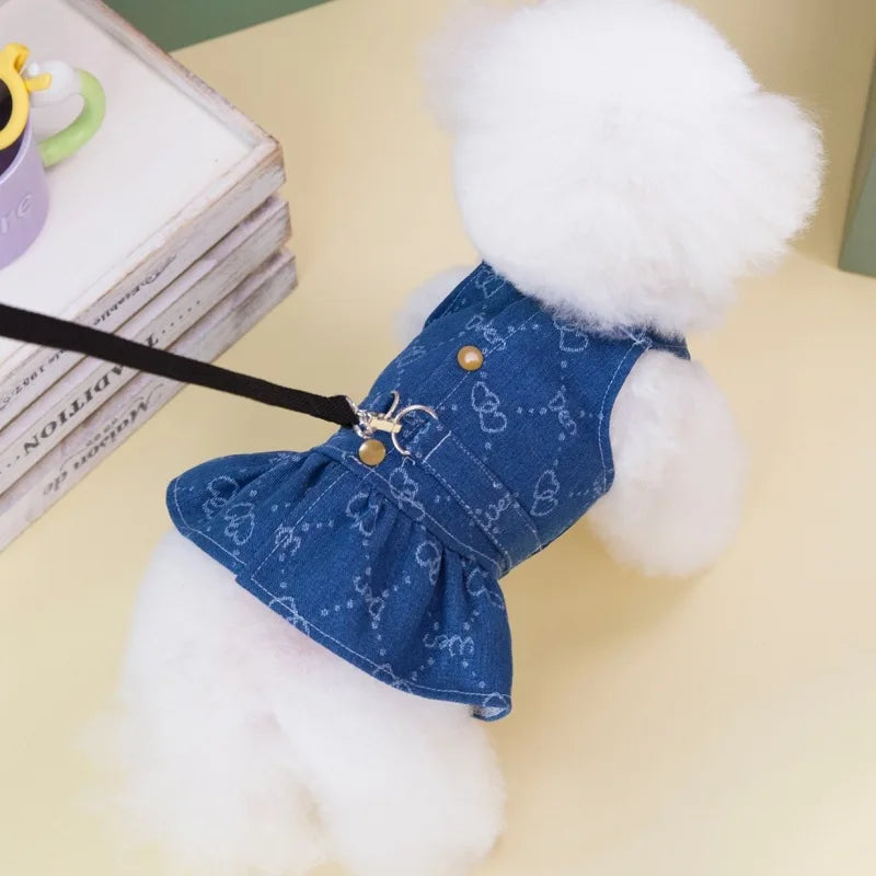 A fluffy white dog wearing a denim dress harness with a black strap and gold D-ring.