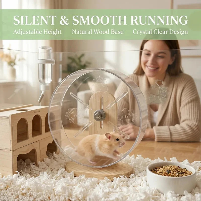 A female pet owner is interacting with a clear plastic hamster silent running wheel on a wooden base.