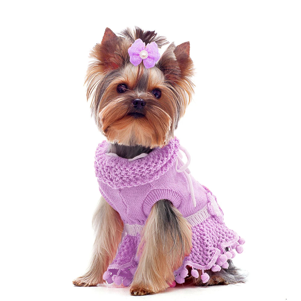 Ein kleiner, flauschiger Hund mit einem lavendelfarbenen Strickpullover und einer lila Haartülle.