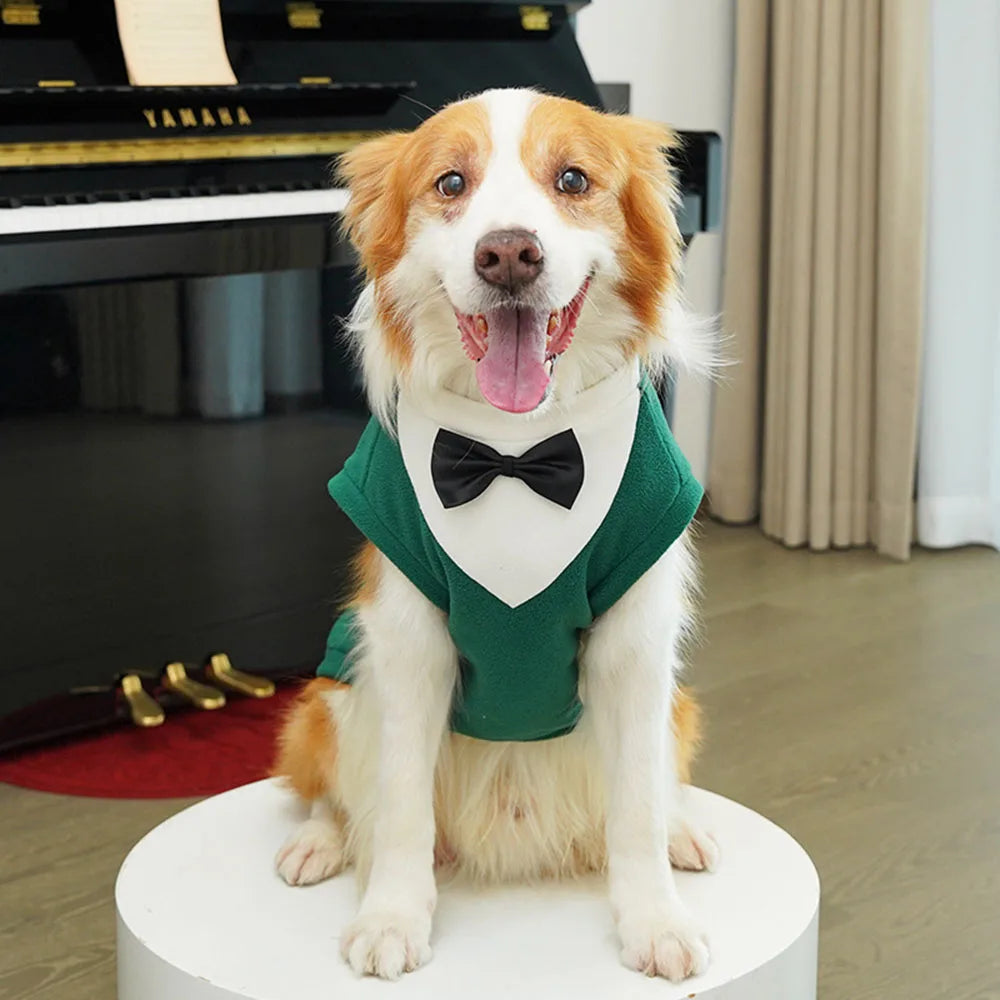 A Golden Retriever wearing a green tuxedo costume with a black bow tie sitting on a white pedestal.