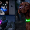 Three images showing a dog wearing a rechargeable LED collar in blue, pink, and green light.
