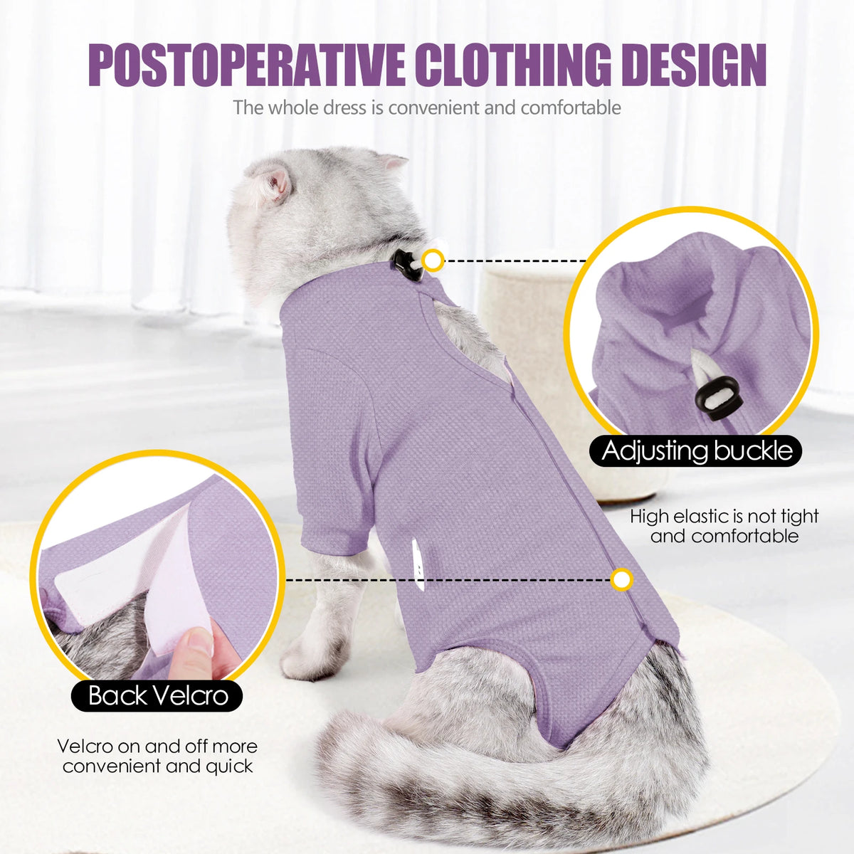A cat wearing a purple postoperative clothing vest with an adjusting buckle and back velcro for comfort