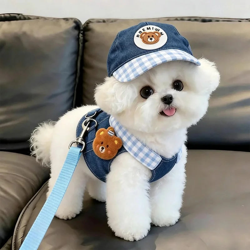 Un chien blanc duveteux portant une casquette de baseball à carreaux bleus et blancs et un harnais assorti avec une laisse.