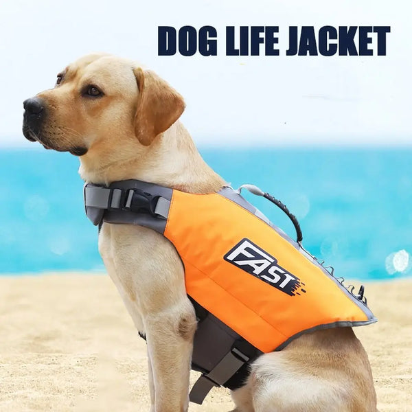 A light-colored dog wearing an orange and black FAST dog life jacket outdoors.