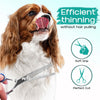 A dog with long brown and white fur is shown next to a set of stainless steel grooming scissors for pet hair thinning.