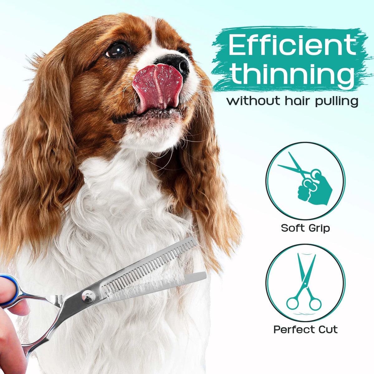A dog with long brown and white fur is shown next to a set of stainless steel grooming scissors for pet hair thinning.