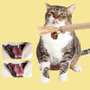 A tabby cat is holding a natural wooden teething stick in its mouth.