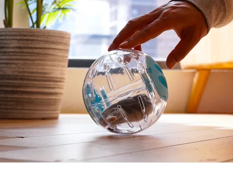 A hand is holding a clear, transparent pet exercise ball with a blue accent, resting on a wooden surface.