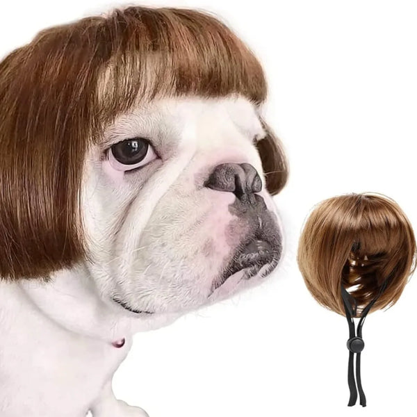 A realistic pet wig head cover featuring a brown and white dog face with floppy ears.