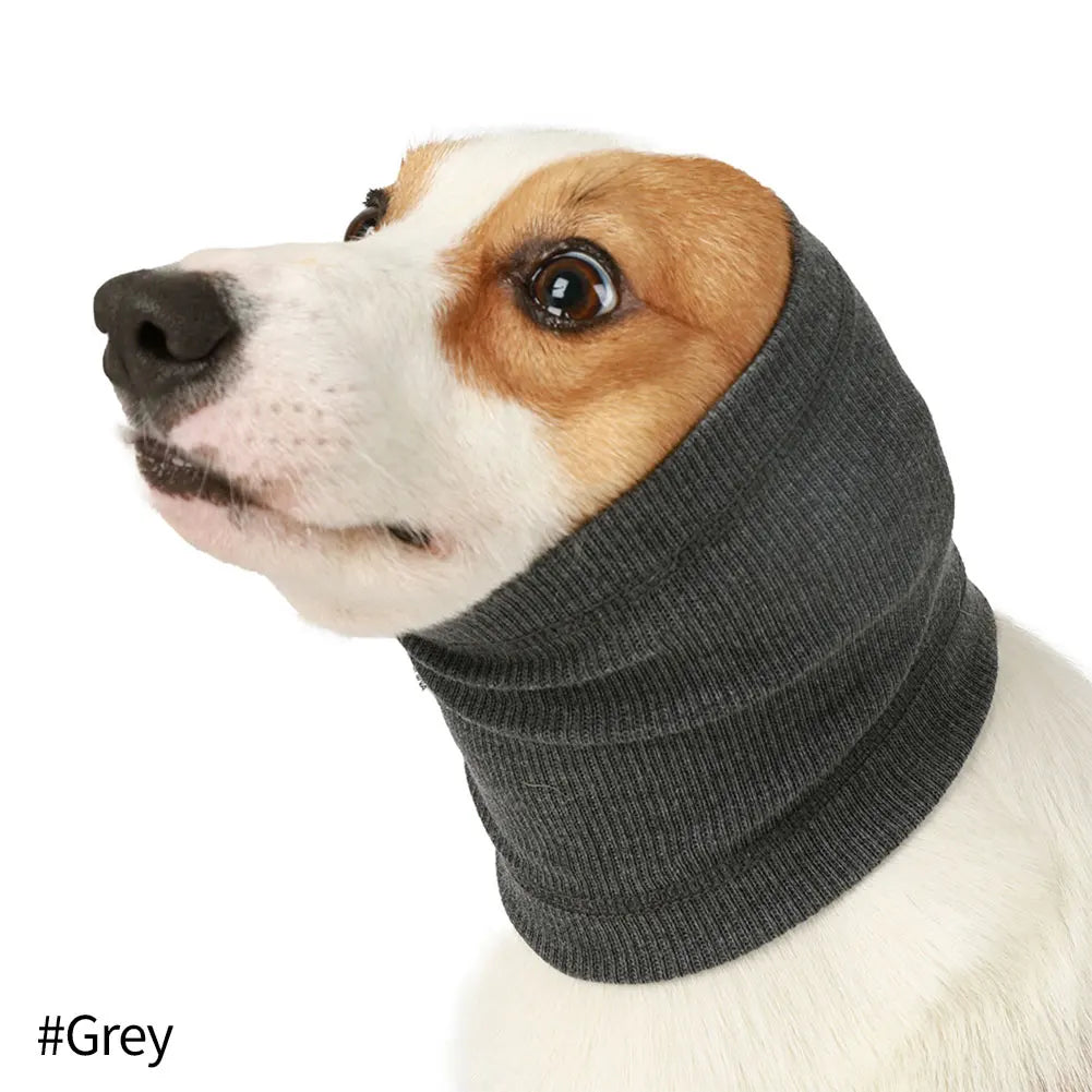 Un chien portant un cache-oreille et un bandeau anti-bruit gris.