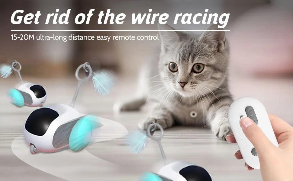 Eine graue Katze interagiert mit einem selbstbewegenden automatischen Katzenspielballgerät.