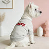 A white dog wearing a gray letter print hoodie sitting on a light surface.
