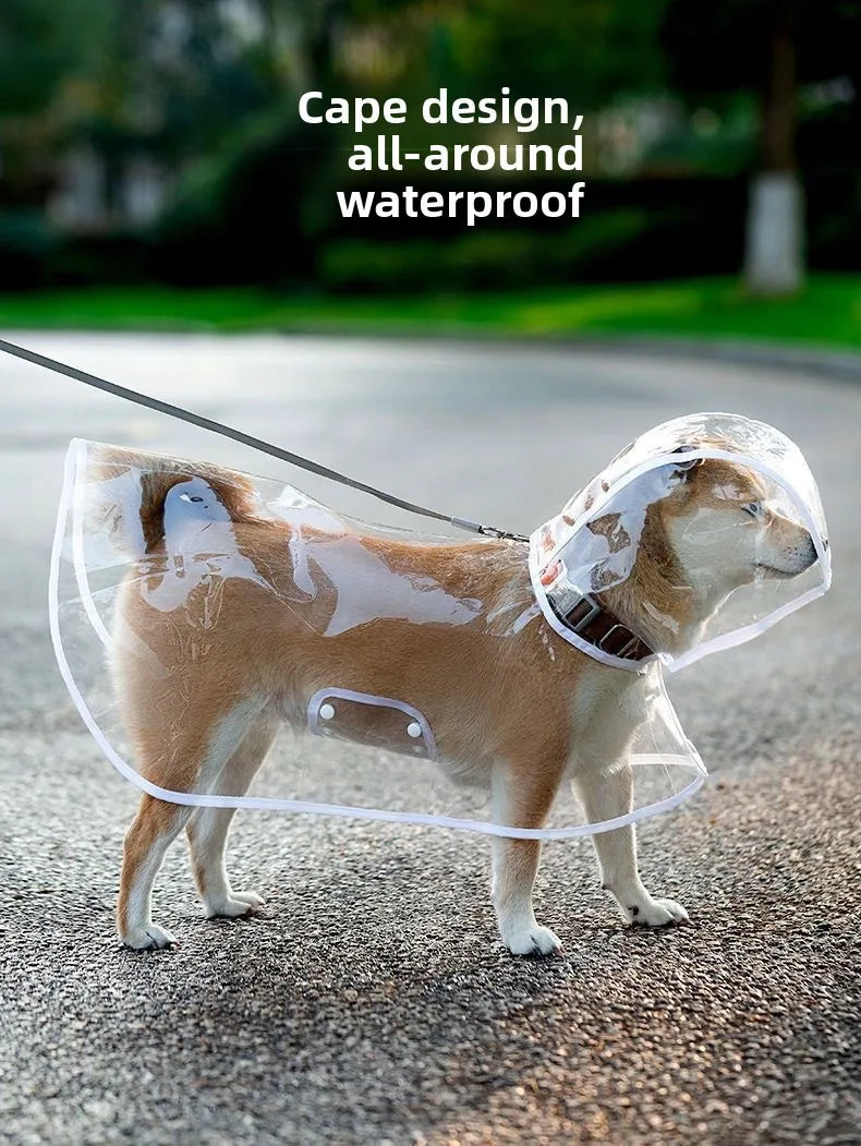 Ein hellbraunes Hund trägt ein durchsichtiges wasserdichtes Cape zum Schutz.