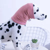 A white dog wearing a pink soothing ear muff, standing on a white surface.
