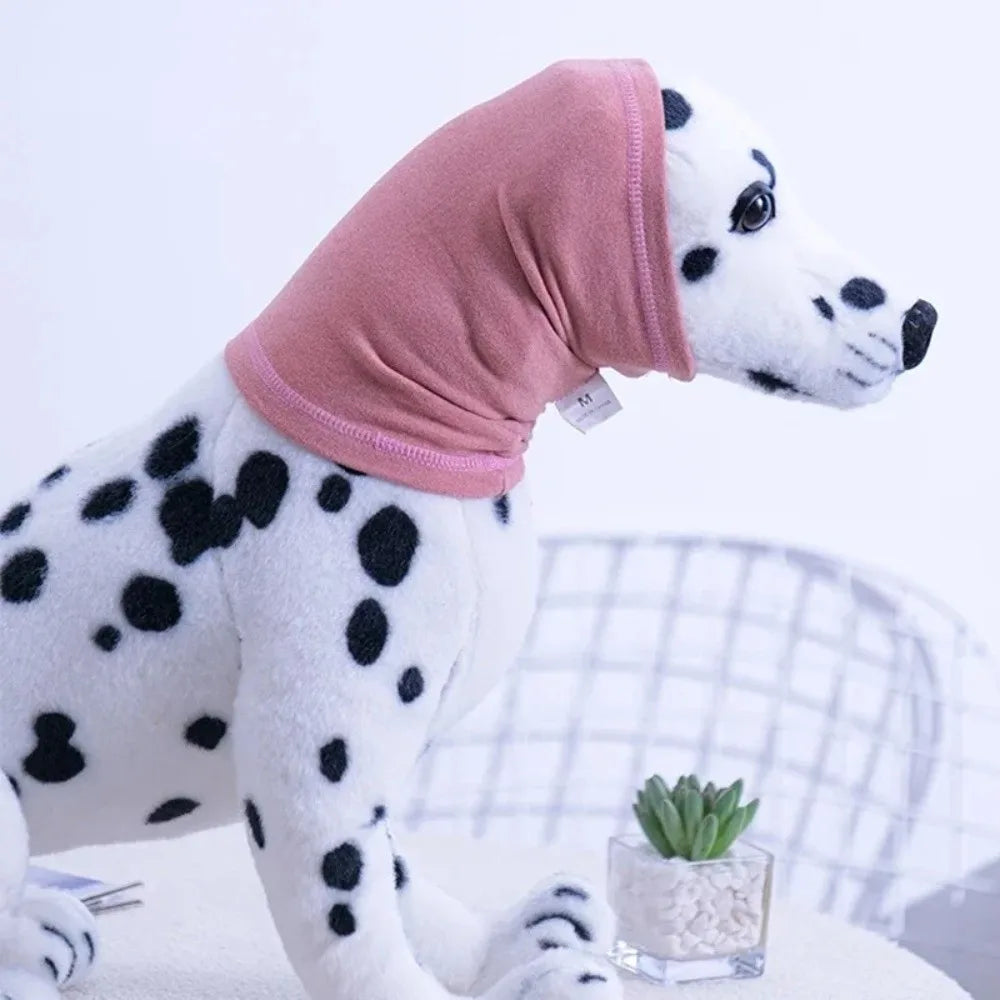 A white dog wearing a pink soothing ear muff, standing on a white surface.