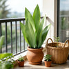 A potted artificial snake plant with long green leaves sits on a windowsill next to a woven basket.