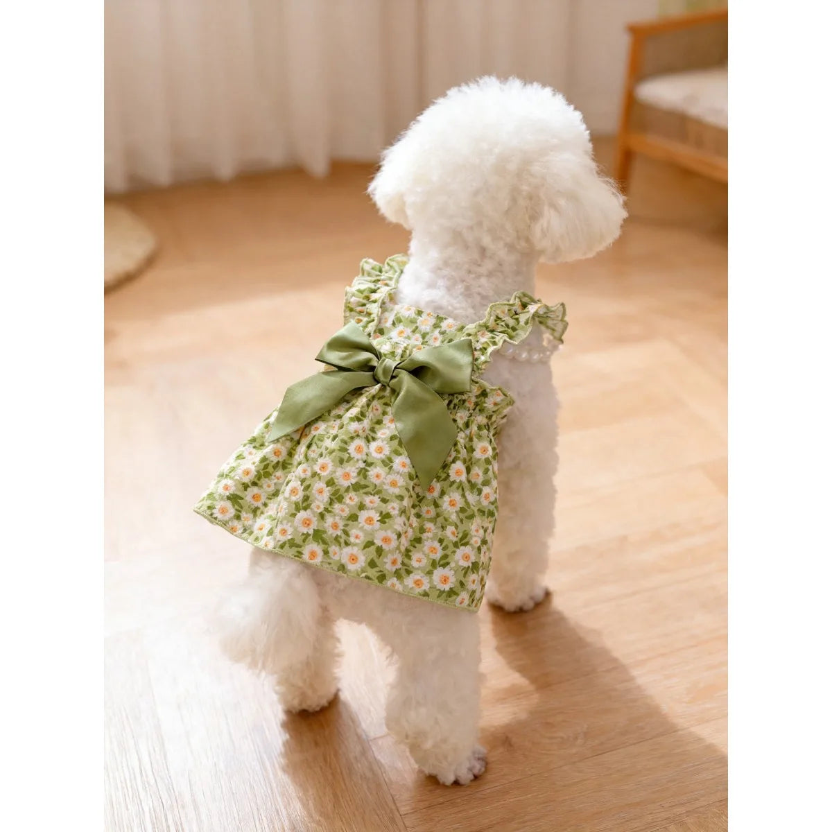 A fluffy white dog wearing a green floral patterned summer dress with a matching green bow.
