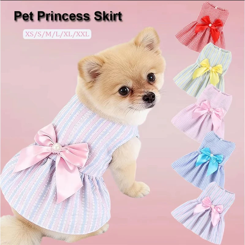 A fluffy puppy wearing a pink and white striped princess skirt with a bow detail.