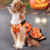 A small, fluffy dog wearing an orange pumpkin lace dress costume.
