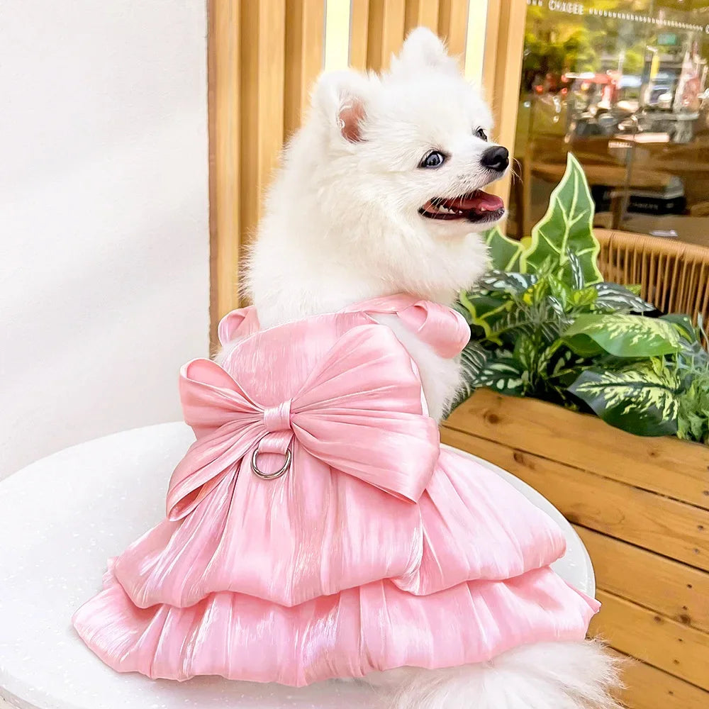 A fluffy white dog wearing a pink satin dress with a bow and a D-ring, displayed next to greenery.