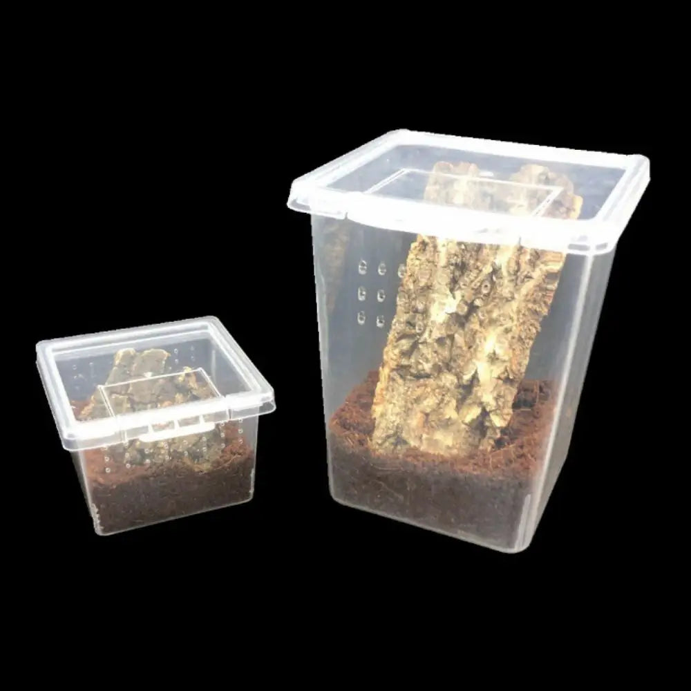 Clear plastic habitat box containing substrate and a rock for a reptile