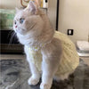 Un chat gris et duveteux portant une robe à fleurs jaunes est assis sur une surface sombre.