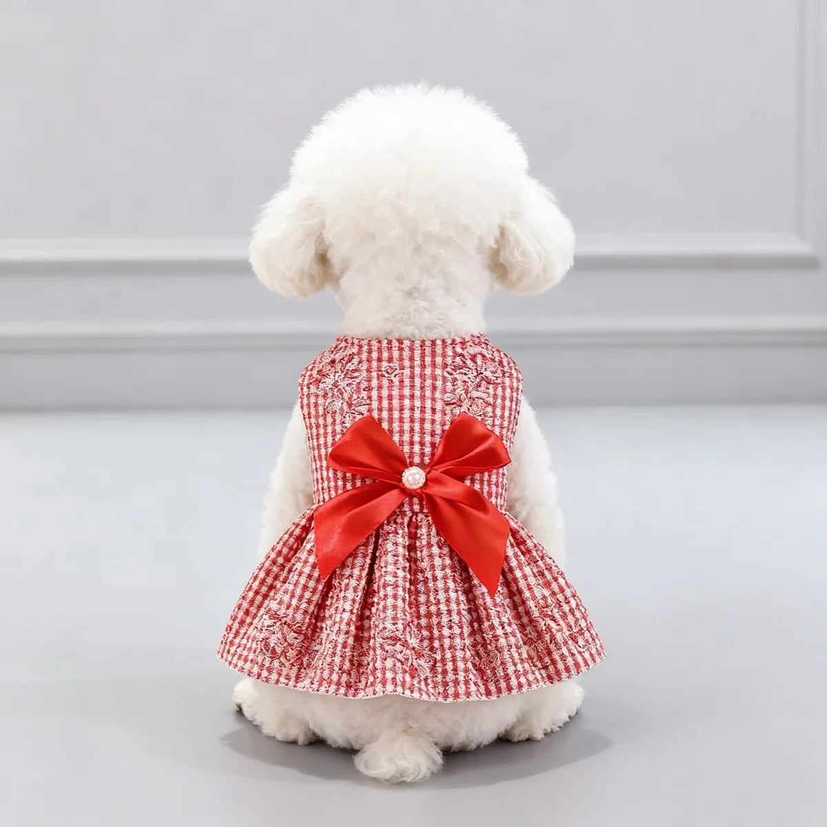 Ein weißer Pudel trägt ein rot-weiß kariertes Sommerkleid mit einer großen roten Schleife.