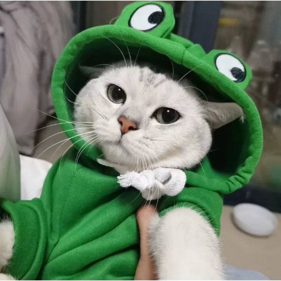A white cat wearing a green frog-themed hoodie with large eyes.