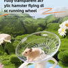 Ein kleiner brauner Hamster rennt in einer klaren, scheibenartigen Laufrolle auf einer grünen moosigen Oberfläche.