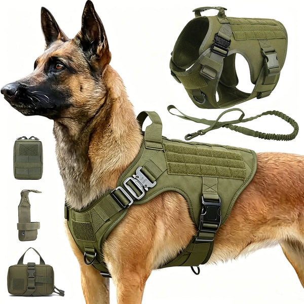 A brown German Shepherd wearing a green tactical dog harness with attached collar and MOLLE pouches.