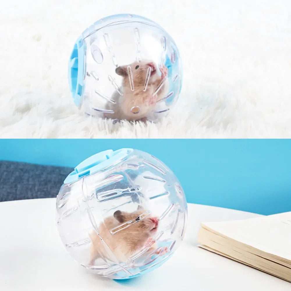 A small brown rodent is visible inside a clear blue transparent pet exercise ball on a white surface.