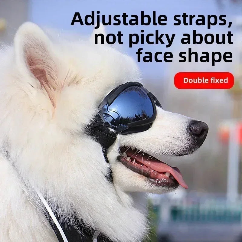A white dog wearing black adjustable anti-glare sunglasses with a double fixed strap.