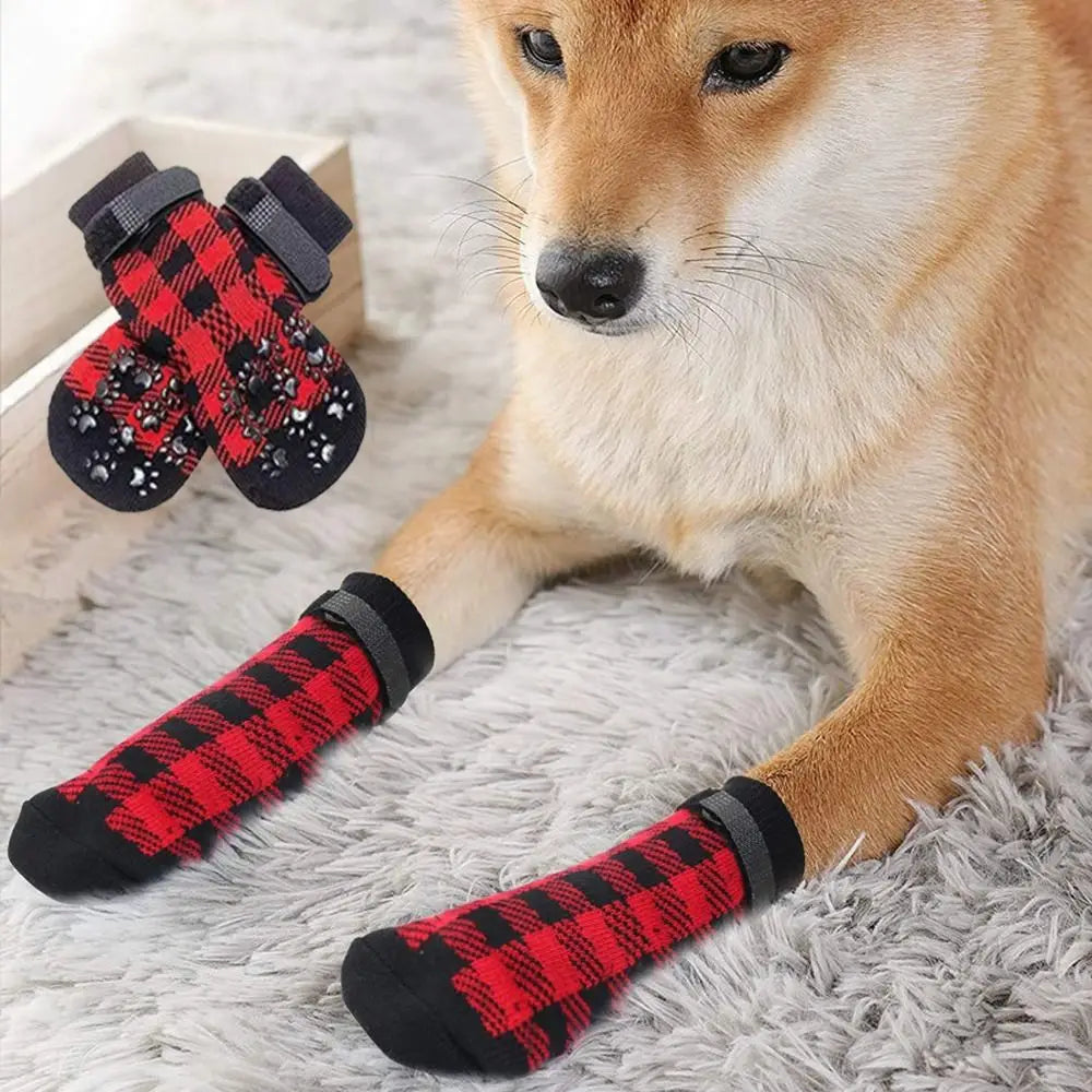 A light brown dog is wearing red and black plaid anti-slip socks on its paws.