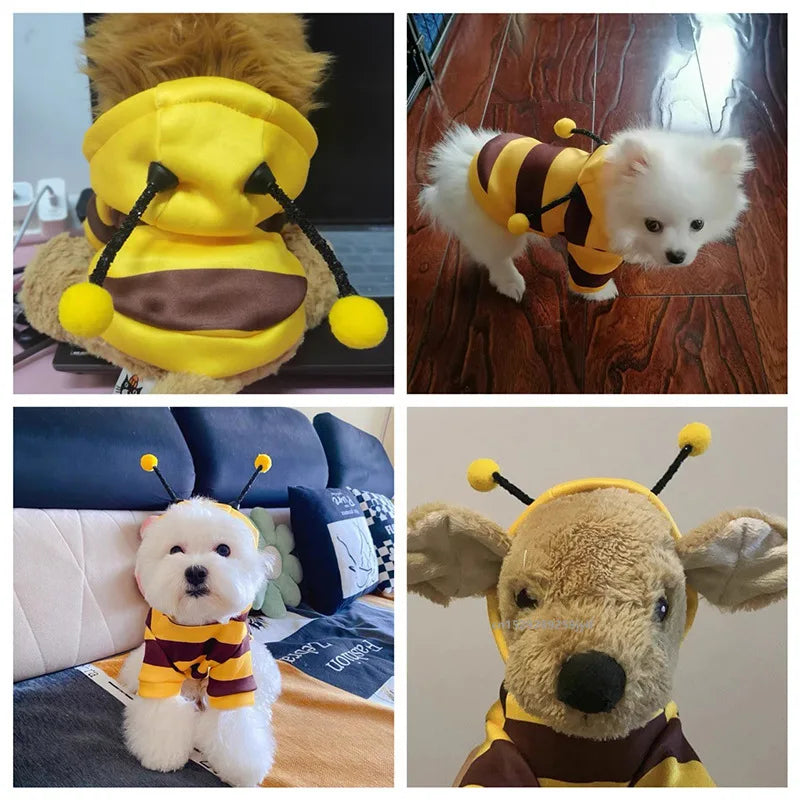 A cozy bee-themed hoodie for a small white dog, featuring yellow and brown fabric.